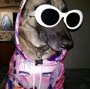 Meet your Posher, Rene